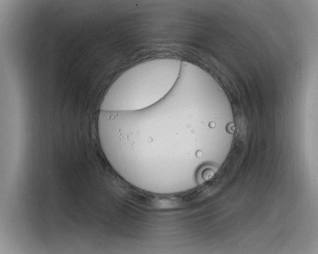 X0000116380510200912020948