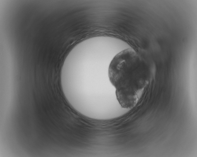 X0000116380511200912020948