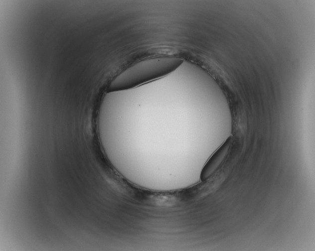 X0000116380512200912020948