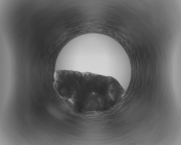 X0000116380519200912020948