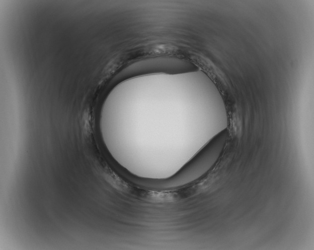 X0000116380520200912020948