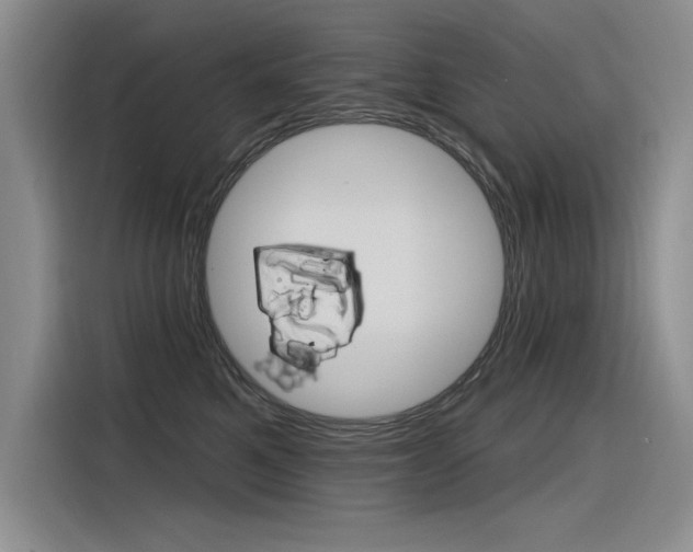 X0000116380521200912020948