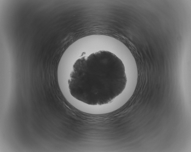 X0000116380523200912020948