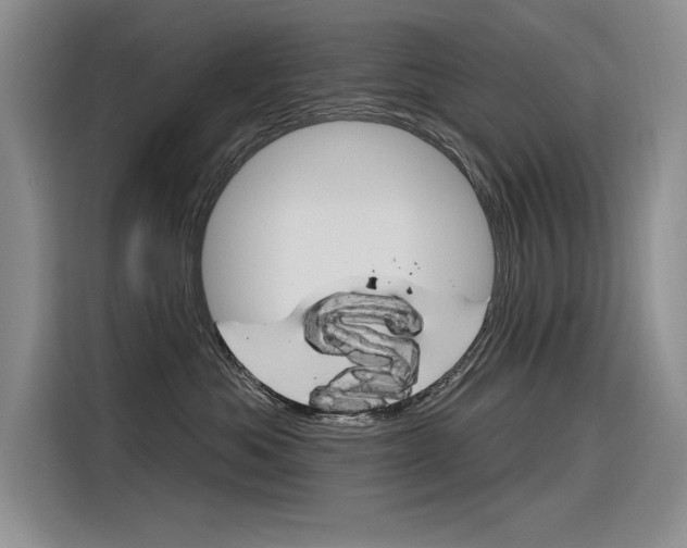 X0000116380525200912020948