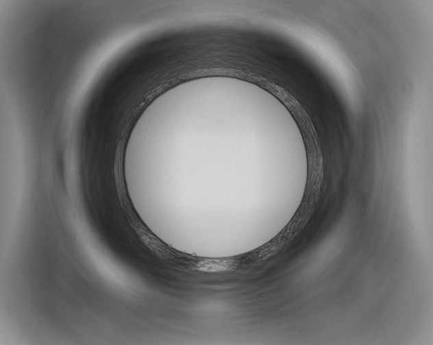 X0000116380526200912020948