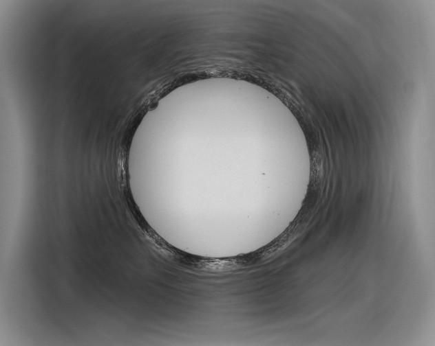 X0000116380527200912020948
