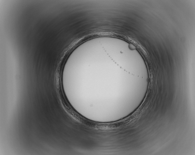 X0000116380533200912020948