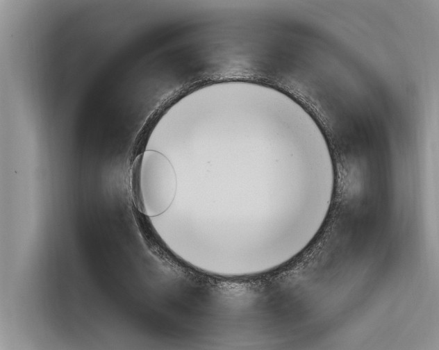 X0000116380534200912020948