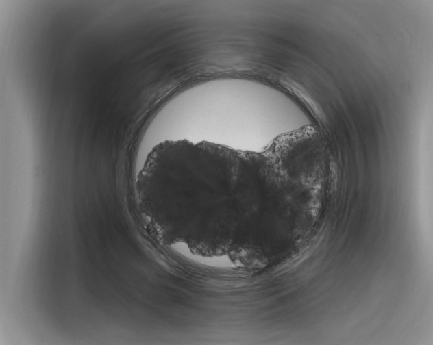 X0000116380541200912020948