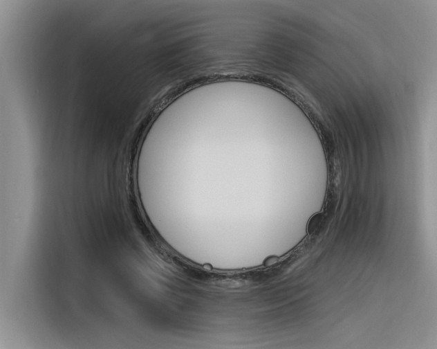 X0000116380542200912020948