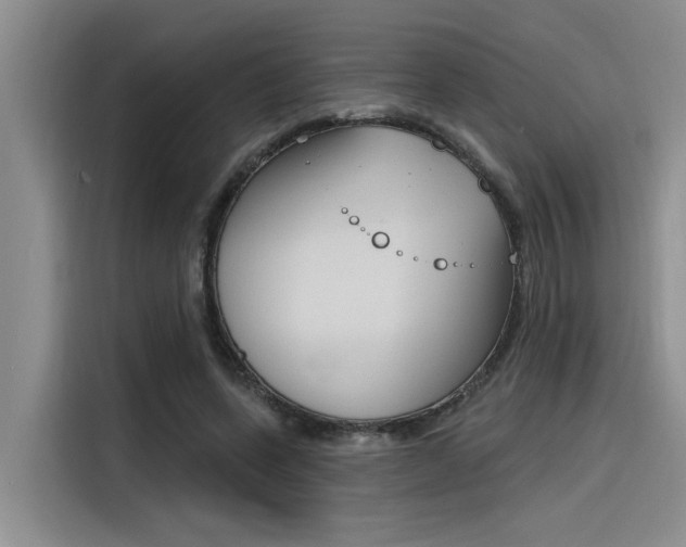 X0000116380543200912020948