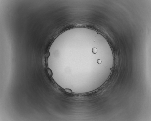 X0000116380545200912020948