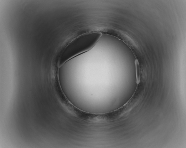 X0000116380546200912020948