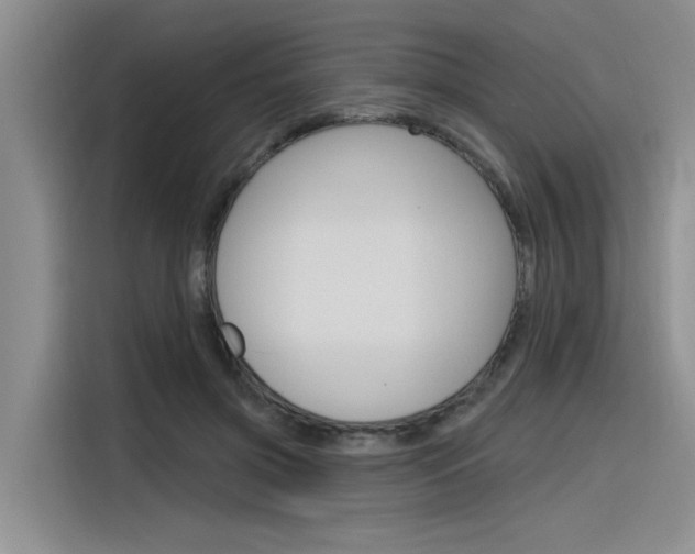 X0000116380549200912020948