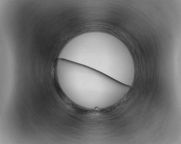 X0000116380551200912020948