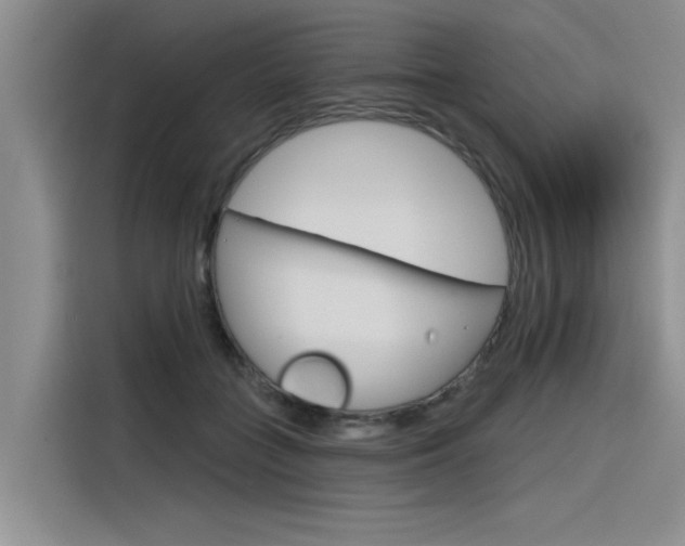 X0000116380555200912020948