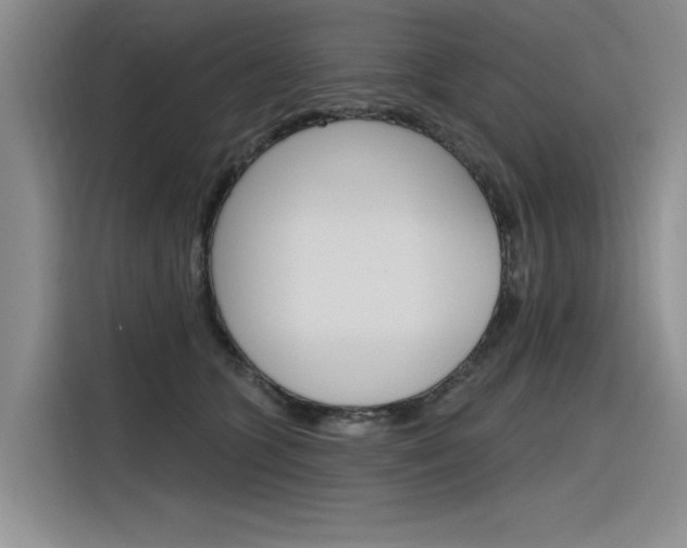 X0000116380563200912020948
