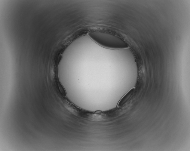 X0000116380566200912020948