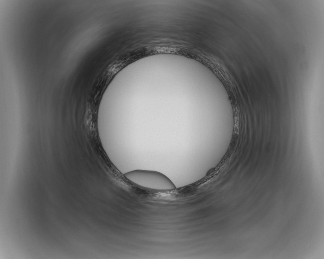 X0000116380573200912020948