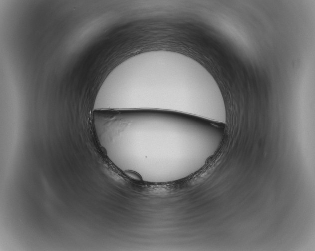 X0000116380574200912020948