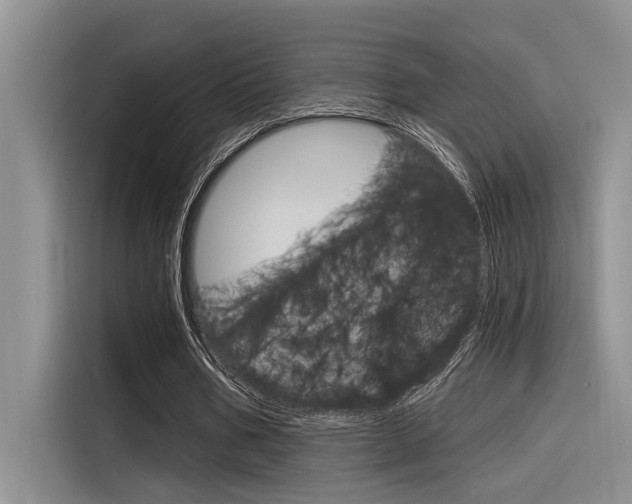X0000116380578200912020947