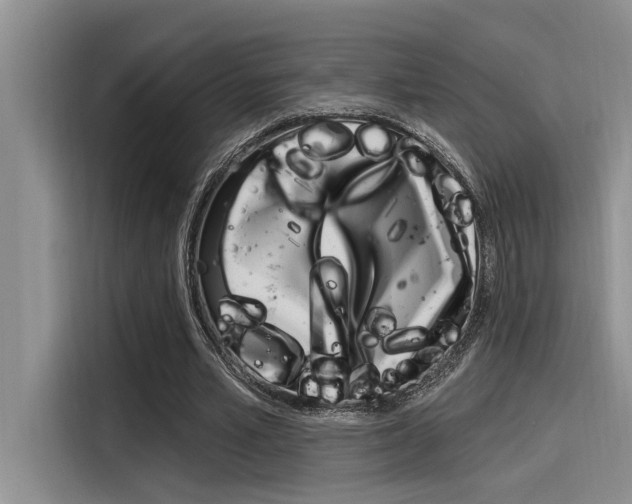 X0000116380581200912020947