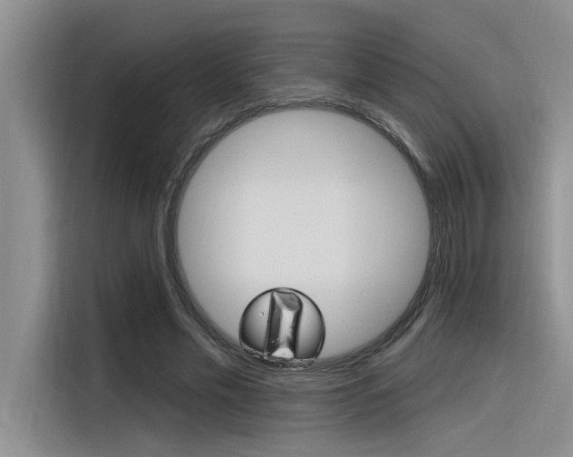 X0000116380589200912020947