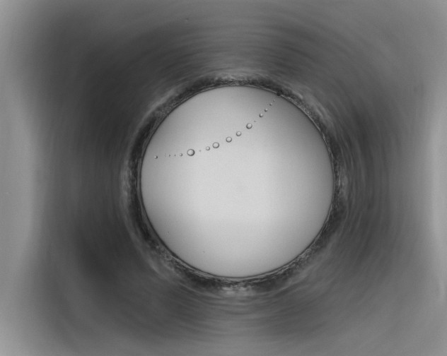 X0000116380591200912020947