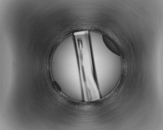 X0000116380593200912020947