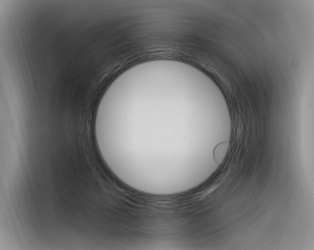 X0000116380595200912020947