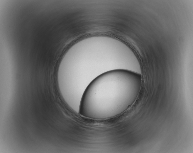 X0000116380596200912020947