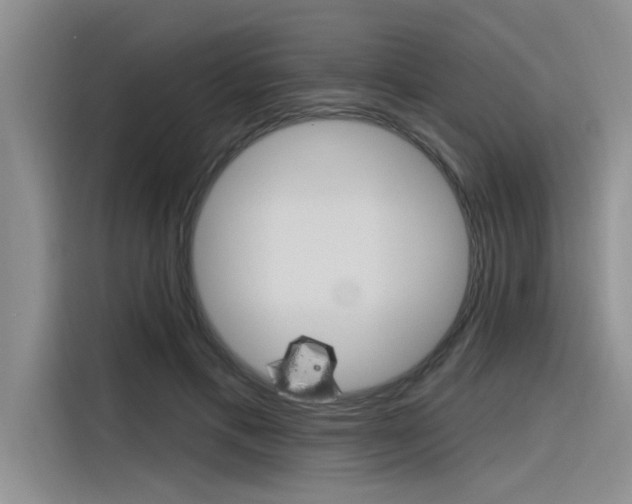 X0000116380597200912020947