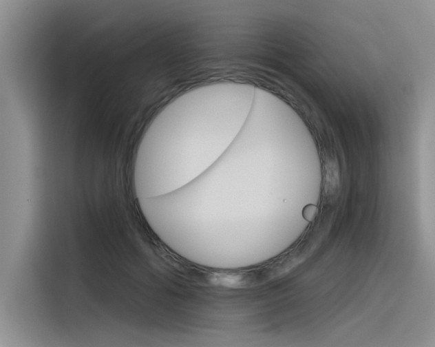 X0000116380602200912020947