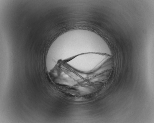 X0000116380605200912020947