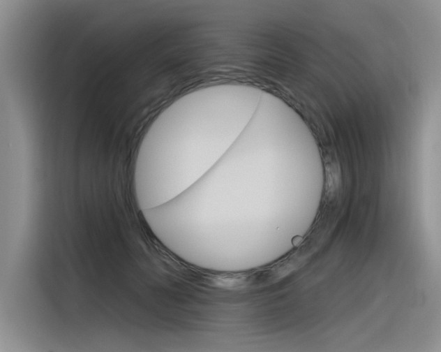 X0000116380606200912020947