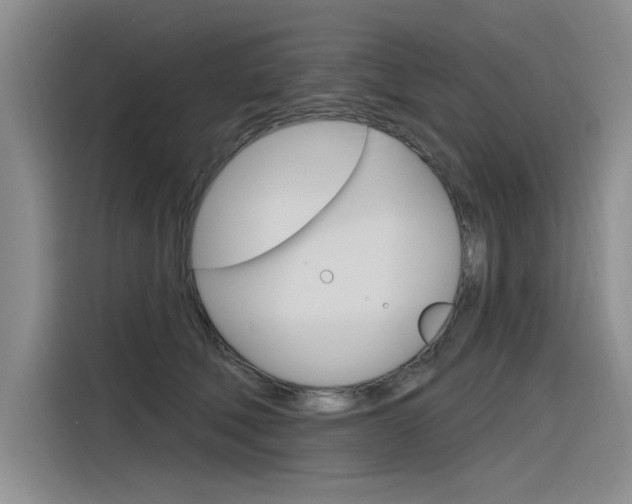X0000116380610200912020947