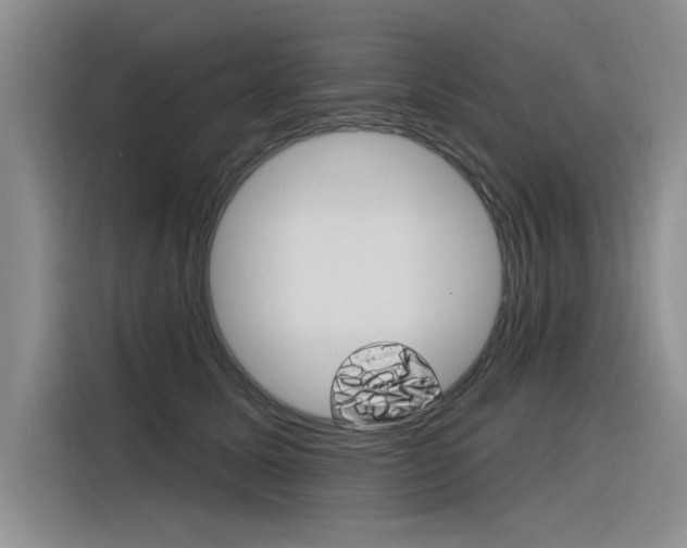 X0000116380611200912020947