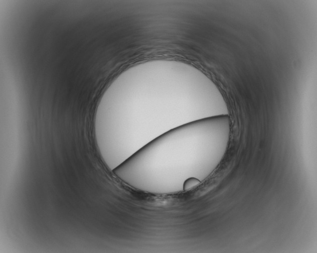 X0000116380612200912020947