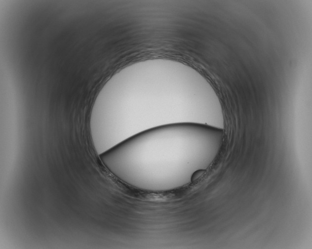 X0000116380613200912020947
