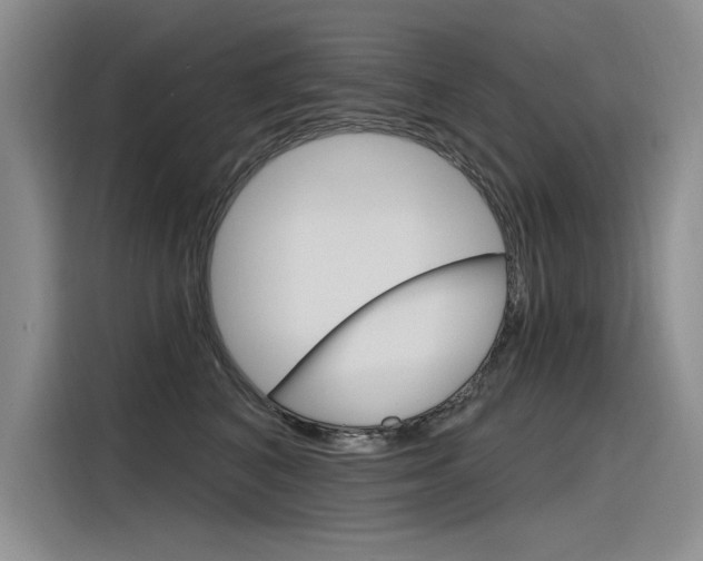 X0000116380616200912020947