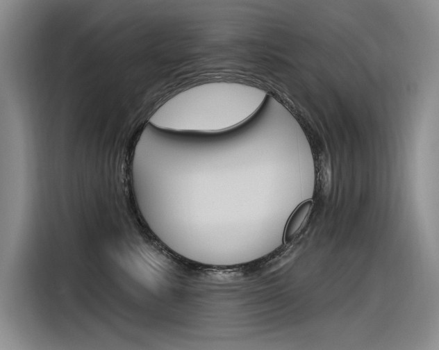 X0000116380619200912020947