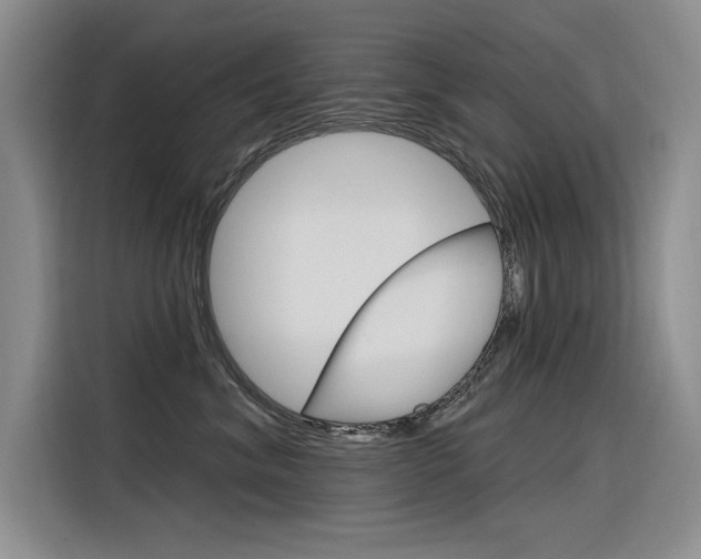 X0000116380620200912020947