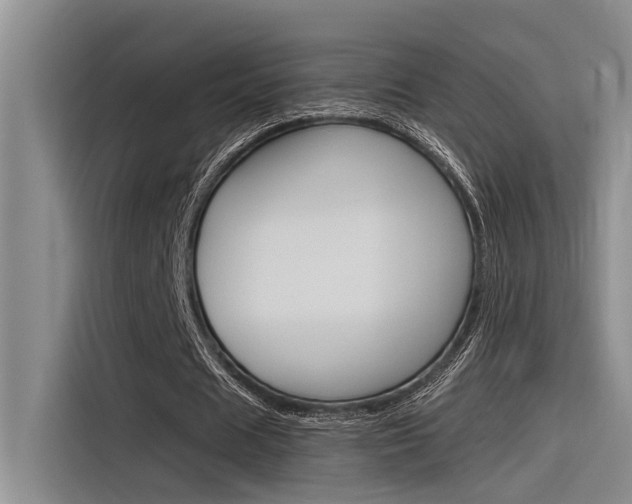 X0000116380625200912020946