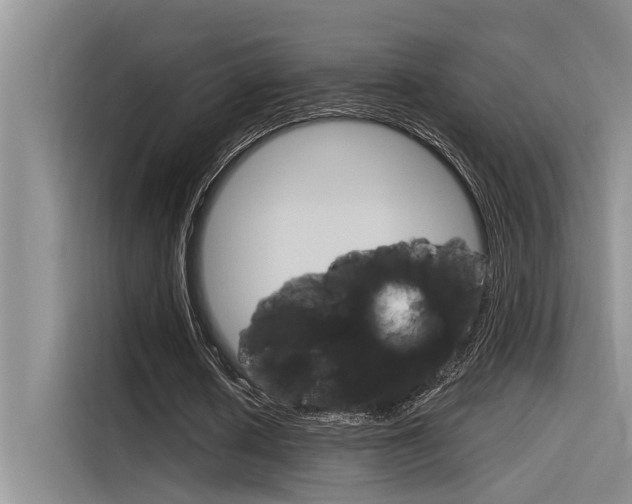 X0000116380626200912020946