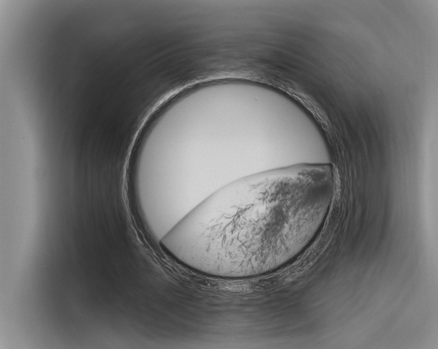 X0000116380628200912020946