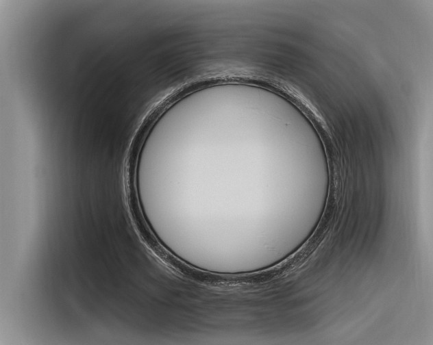 X0000116380629200912020946