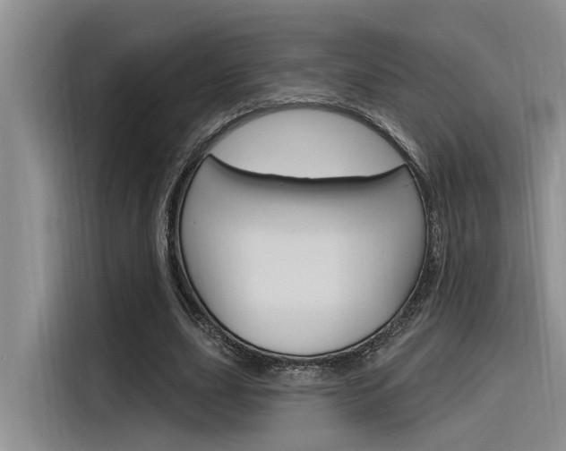 X0000116380631200912020946