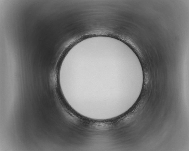 X0000116380632200912020946