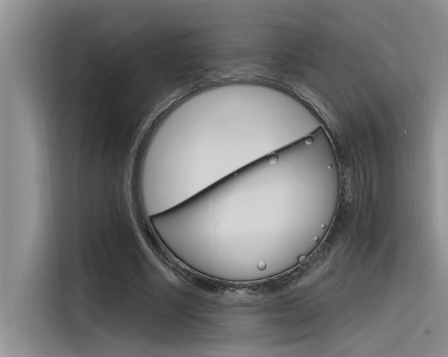 X0000116380634200912020946