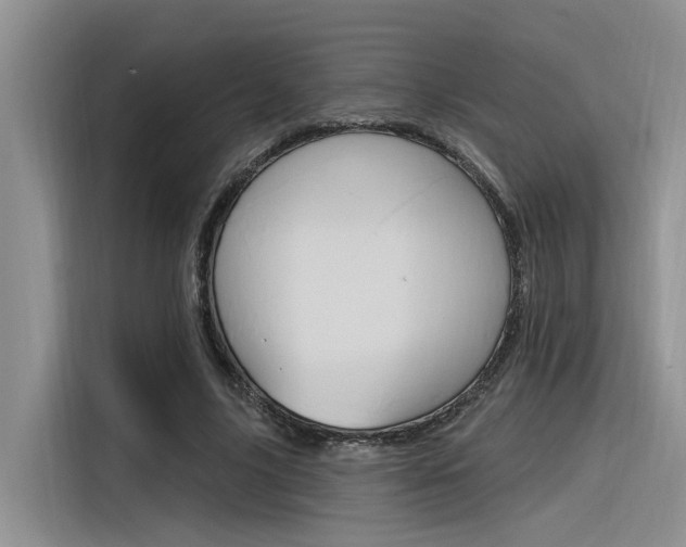 X0000116380635200912020946